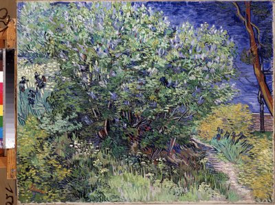 ""Leylak Çalı"" (Leylak Çalı) Tablo Vincent van Gogh (1853-1890) 1889 Dim. 72x92 cm Hermitage Müzesi, Sankt Petersburg (Saint-Petersburg) by Vincent van Gogh