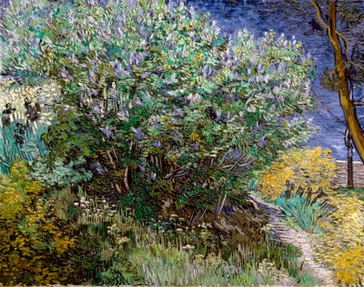 Leylak çalısı. Vincent VAN GOGH (1853-1890) by Vincent van Gogh
