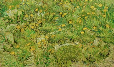 karahindiba by Vincent van Gogh