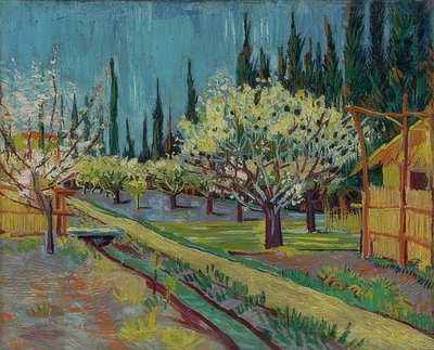 Servi ağaçları ile çevrili meyve bahçesi. 1888 by Vincent van Gogh