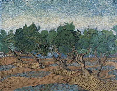 Zeytinlik by Vincent van Gogh