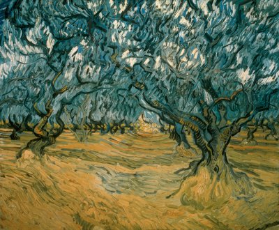 Zeytin ağaçları by Vincent van Gogh