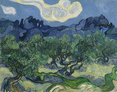 Zeytin ağaçları. 1889 by Vincent van Gogh