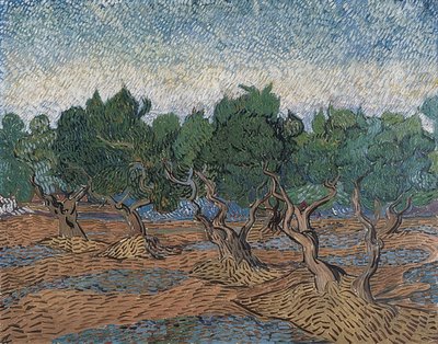 Zeytinlik. 1889 by Vincent van Gogh