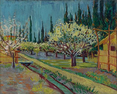 Selvilerle çevrili meyve bahçesi by Vincent van Gogh