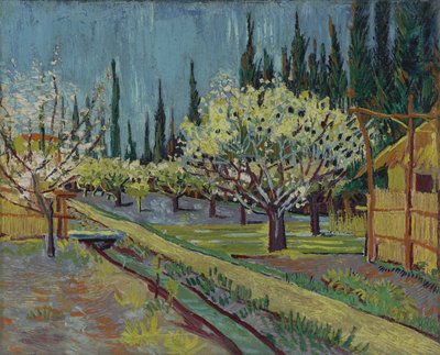 Selvilerle çevrili meyve bahçesi by Vincent van Gogh