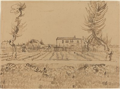 Arles yakınlarındaki Tarlalarda Pullukçu by Vincent van Gogh