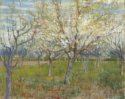 Pembe meyve bahçesi. 1888 by Vincent van Gogh