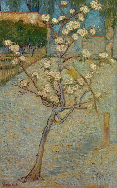 Küçük armut ağacı çiçeği by Vincent van Gogh