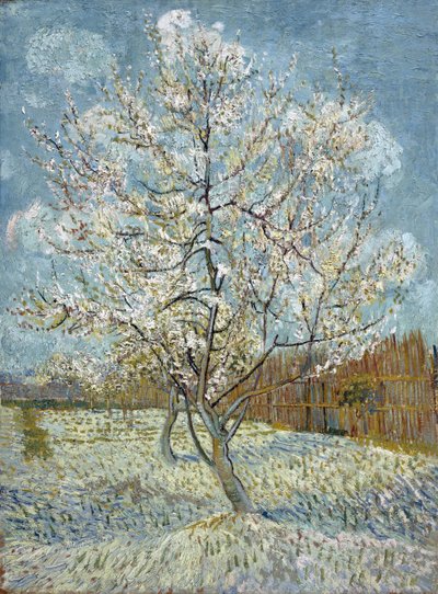 Pembe Şeftali Ağacı by Vincent van Gogh
