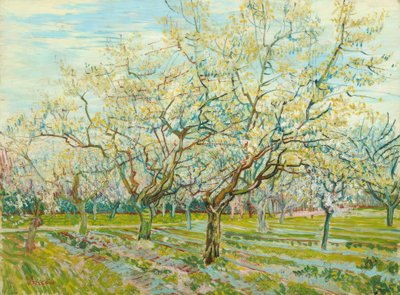 V. van Gogh, Beyaz Meyve Bahçesi by Vincent van Gogh