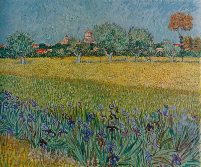 Ales'in Çiçek Açarken Görünüşü, 1888 by Vincent van Gogh