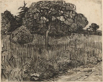 Ağlayan Ağaç by Vincent van Gogh
