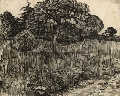 Ağlayan Ağaç, 1889 by Vincent van Gogh