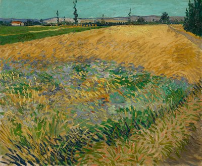 Buğday Tarlası by Vincent van Gogh