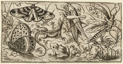Otlu düz bir zeminde böcek ve hayvan grubu..., 1530 - 1562. by Virgil Solis