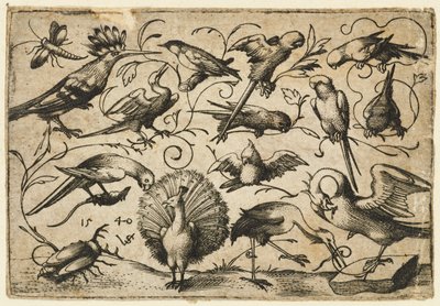 Bir leylek, bir pelikanın bacağına bir dal bağlamış, küçük yaprak dalları üzerinde on kuş..., 1540. by Virgil Solis