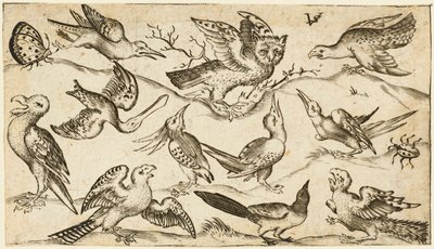 Douce Ornament Prints Albüm I