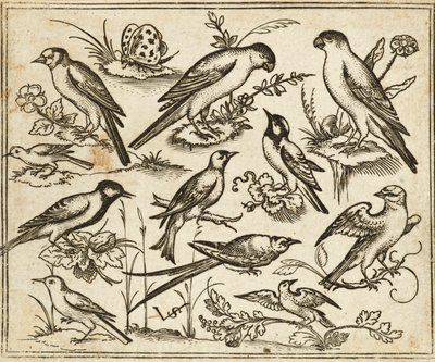 Douce Ornament Prints Albüm I