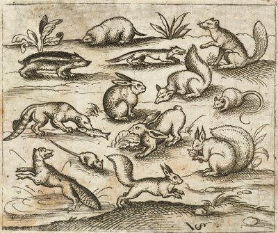 Douce Ornament Prints Albüm I