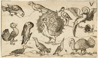 Douce Ornament Prints Albüm I