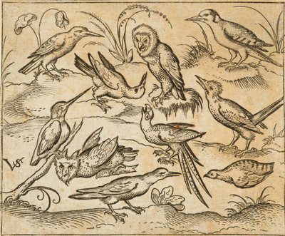 Douce Ornament Prints Albüm I