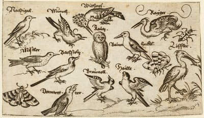 Douce Ornament Prints Albüm I