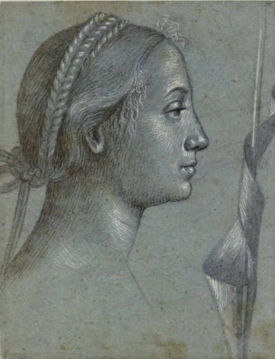 Bir Kutup çevresinde flama yarası olan bir Kadın Başı, 15. yüzyılın sonlarında by Vittore Carpaccio