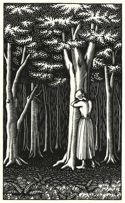 Thomas Hardy'nin Tess Of The D'Urbervilles için illüstrasyonu (gravür) by Vivien Gribble