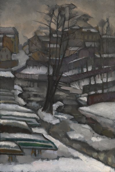 Kışın St.Petersburg by Daniel Vladimir Baranoff Rossine
