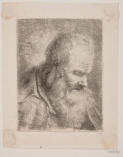 Sakal Yaşlandırma, Göğüs by W.A. Müller