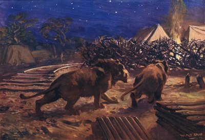 Demiryolu işçisinin düşmanı by W.R.S. Stott