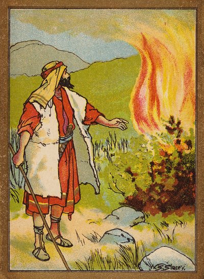  by W.S. Stacey