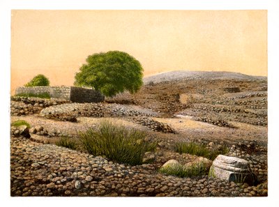 Shiloh, c1870. by W. Dickens