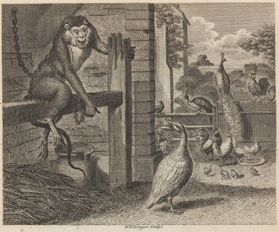 Babun ve Kümes Hayvanları by W. Grainger