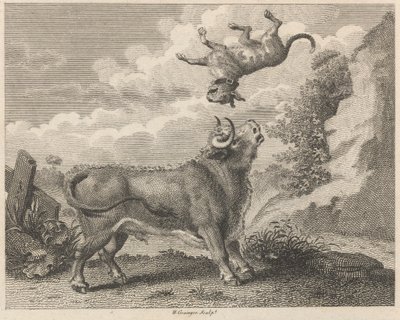 Boğa ve Mastiff by W. Grainger