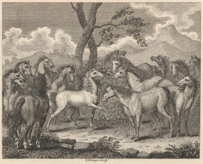 Atlar Konseyi by W. Grainger