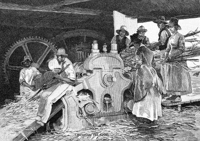 Bastonu Ezmek, 1886. by W. Mollier