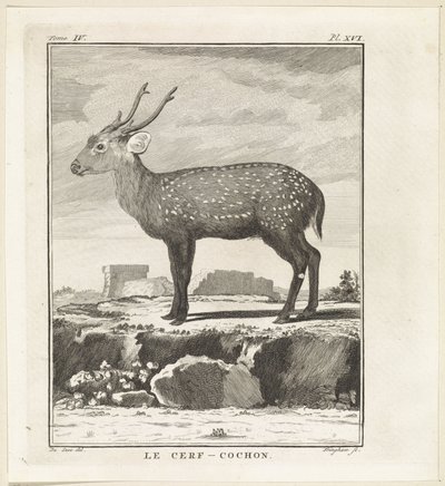 Hert Le Cerf-Cochon (nesne üzerindeki başlık) by W. Tringham