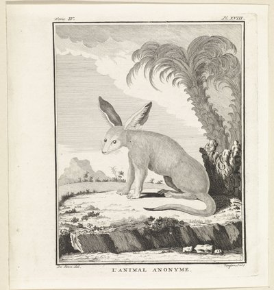 Bilinmeyen hayvan L'animal anonim (nesne üzerindeki başlık) by W. Tringham