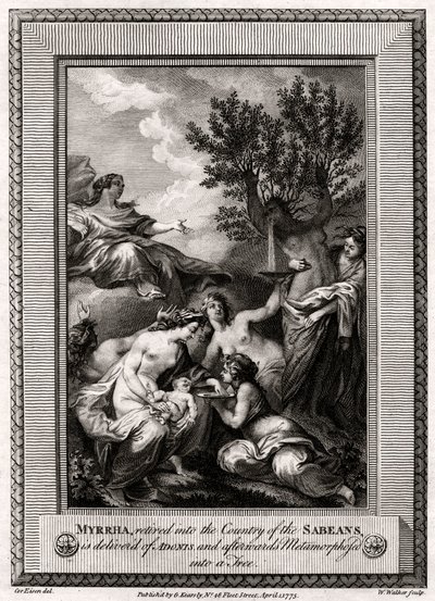 Sabeanların Ülkesine emekli olan mür, Adonis