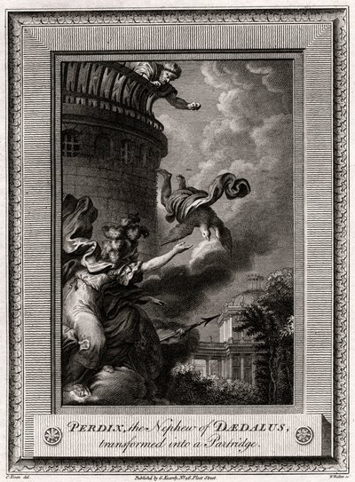 Daedalus