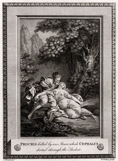 Procris, Cephalus