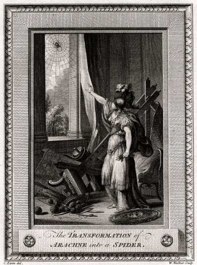 Arachne