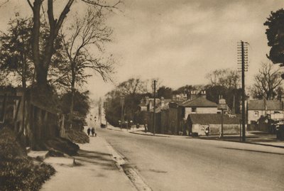 Dover