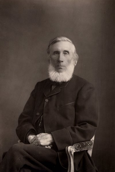 John Tyndall (1820-1893) İrlanda doğumlu İngiliz fizikçi. (woodbury tipi) by W. and D. (after) Downey