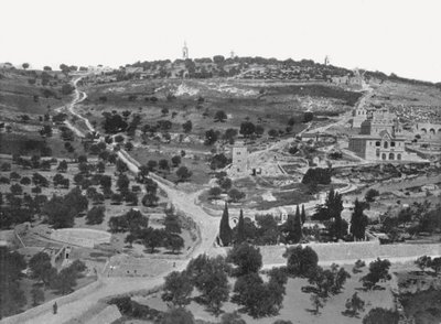 Zeytin Dağı, Kudüs, Filistin, 1895. by W and S Ltd