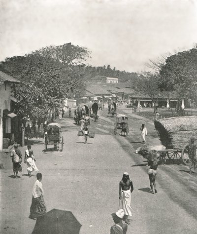 Belediye Binası yakınlarındaki sokak sahnesi, Colombo, Seylan, 1895. by W and S Ltd