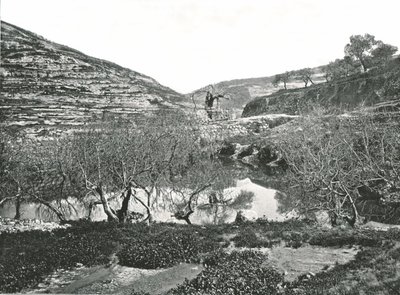 Siloam Havuzu, Kudüs, Filistin, 1895. by W and S Ltd