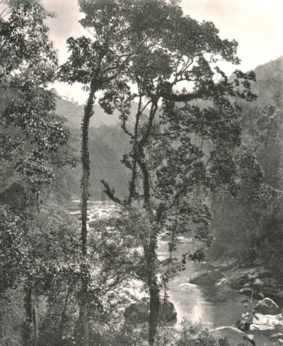 Kelani Nehri manzarası, Kurunegala, Seylan, 1895. by W and S Ltd